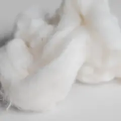 Fluffige Tencel-Fasern, bereit zum Waschen.