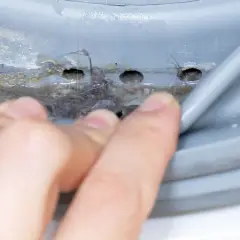 Schmutz und Fusseln sammeln sich in der Gummidichtung einer Waschmaschine. Einweichen könnte helfen, diese Ablagerungen zu lösen.