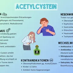 Infografik zu Acetylcystein: Indikationen, Wirkmechanismus, Kontraindikationen, Neben- und Wechselwirkungen. Das Material ist klar und informativ gestaltet.