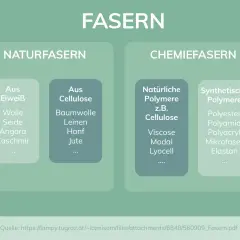 Übersicht über Fasern: Naturfasern (Eiweiß, Cellulose) und Chemiefasern (natürliche/synthetische Polymere wie Polyester, Viskose).