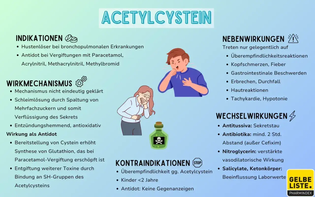 Infografik zu Acetylcystein: Indikationen, Wirkmechanismus, Kontraindikationen, Neben- und Wechselwirkungen. Das Material ist klar und informativ gestaltet.