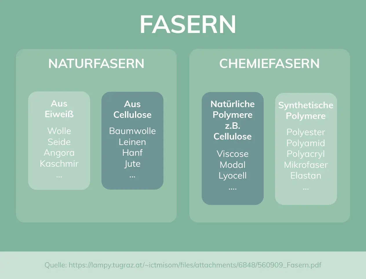 Übersicht über Fasern: Naturfasern (Eiweiß, Cellulose) und Chemiefasern (natürliche/synthetische Polymere wie Polyester, Viskose).