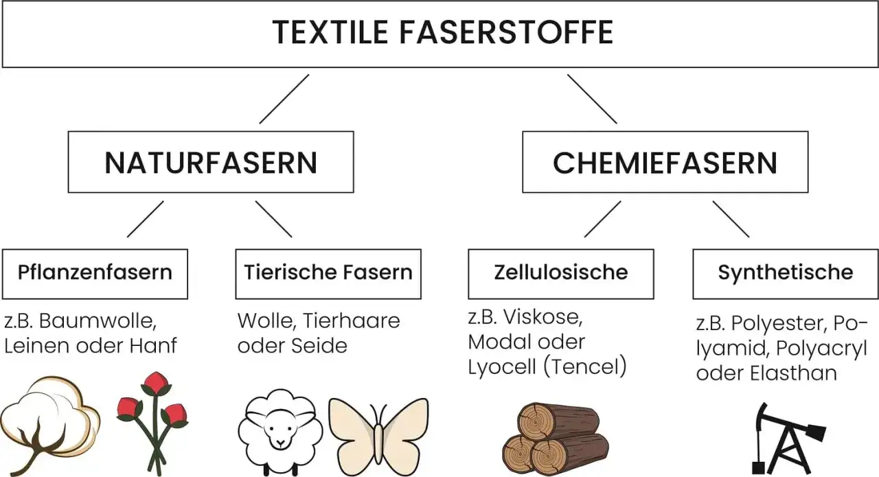 Schema zeigt Textilfasern: Naturfasern (Pflanzen, Tier) und Chemiefasern (Zellulose wie Modal, Synthetik).